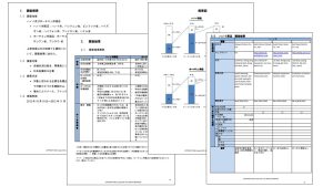 B＆Company調査レポートイメージ