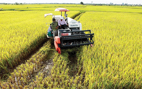 Agricultural activities in Vietnam