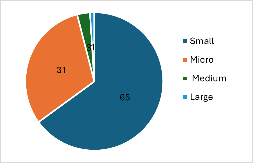 Companies operating in the machining field by size, 2021