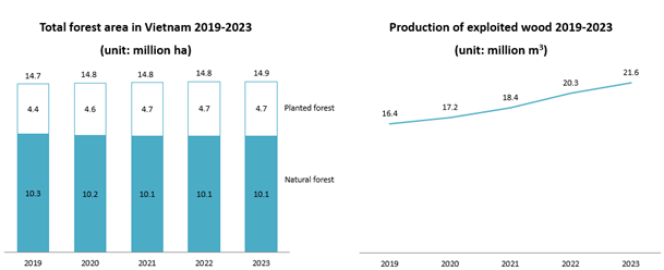 Overview forestry in Vietnam