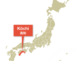 Kochi