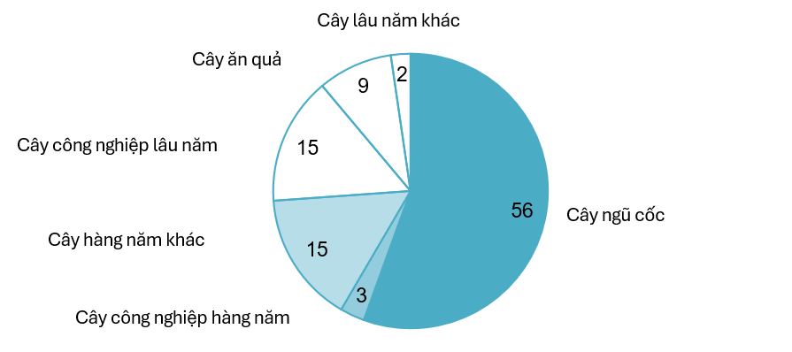 Diện tích đất các loại cây trồng ở Việt Nam (2023)