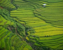 Lao Cai Vietnam