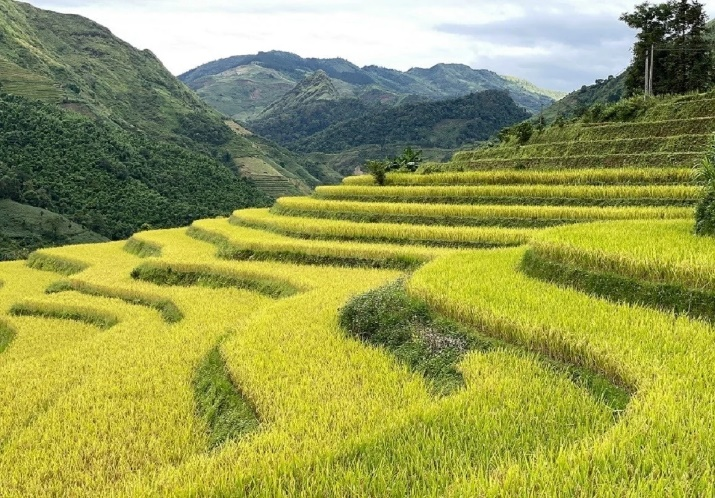 Lao Cai's Beautiful landscape and various festivals