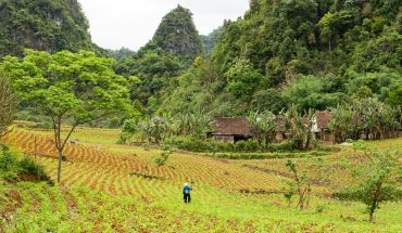 Agriculture Vietnam