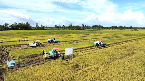 Trial operation of the “1 million hectares of high-quality, low-emission rice” project