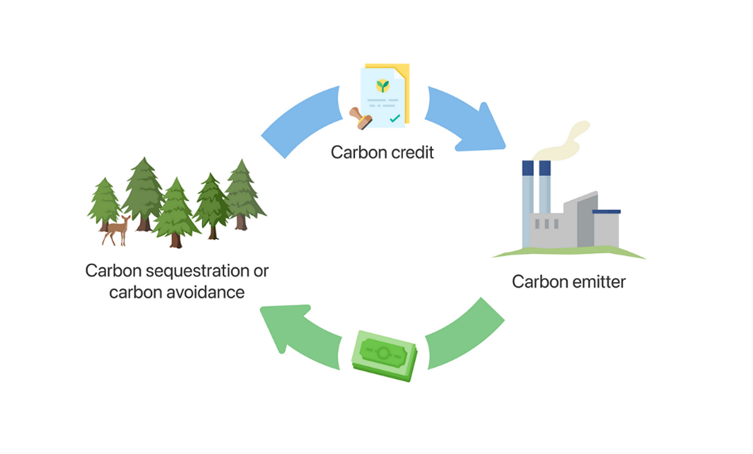 Overview of the Carbon Market in Vietnam