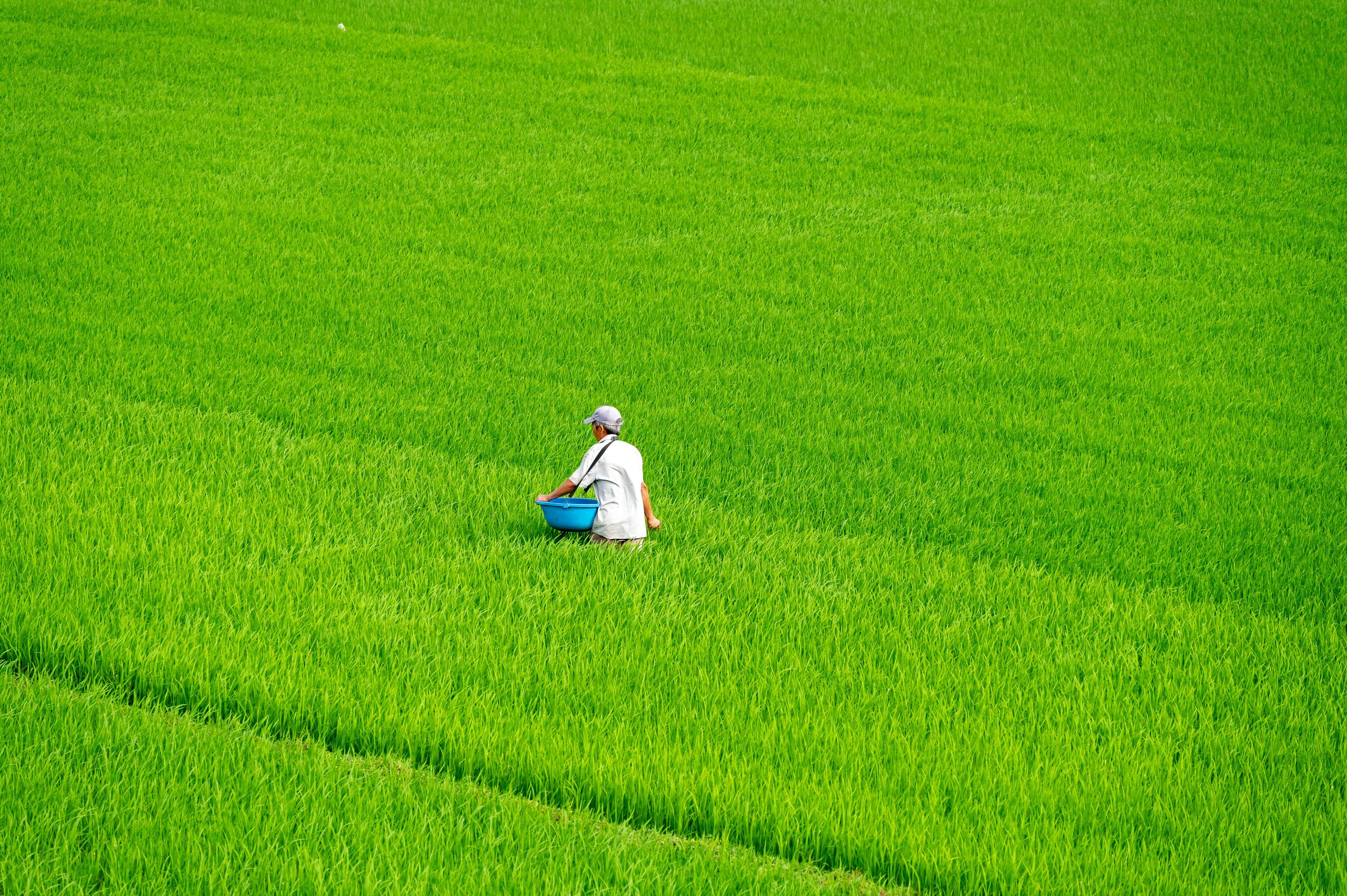 Vietnam agriculture