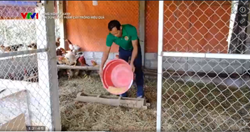 Biological bedding: New trend to reduce pollution and labor