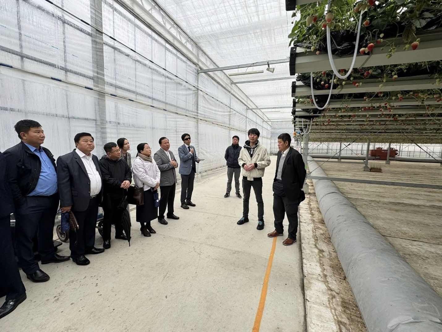 Consultation Meeting with the Agricultural Association of Ibaraki