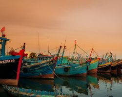Vietnam's trade relation