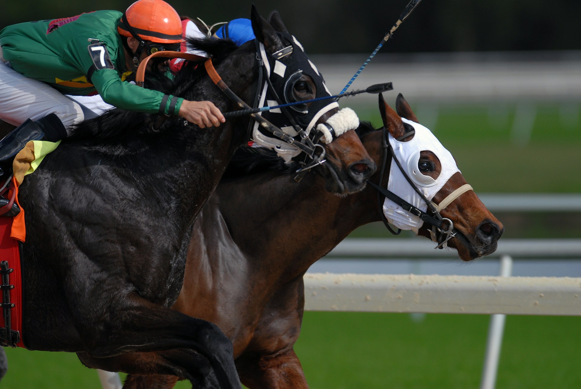Horse racing industry in Vietnam
