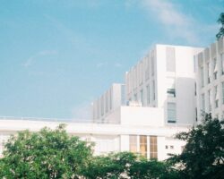 Vietnam University