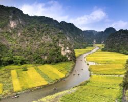 quang-nguyen-vinh-YJbUESVw-ZM-unsplash