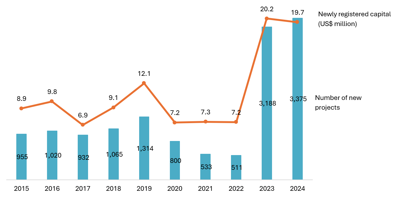 FDI into the Manufacturing Sector by Year (2015–2024)