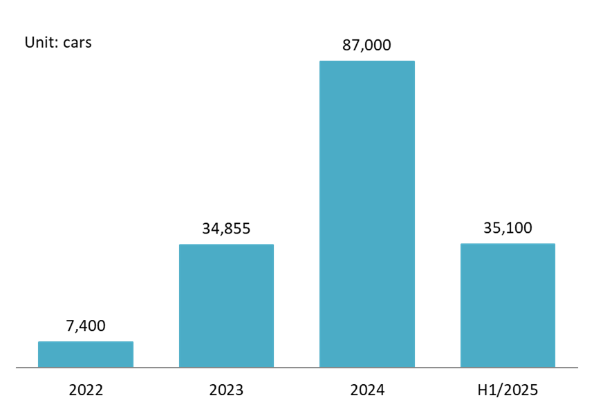 Number of VinFast vehicles delivered until H1 2025