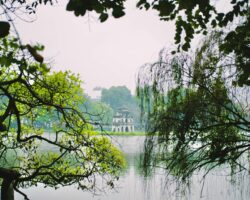 tri-nguyen-NTJ_tRxxwb8-unsplash
