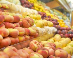 Organic food sector Vietnam Organic food sector Vietnam