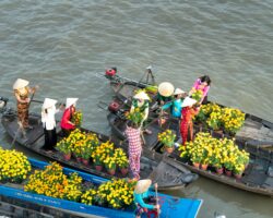 Vietnam tourism