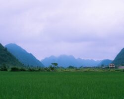 pham-yen-kwqj3hVd_CQ-unsplash