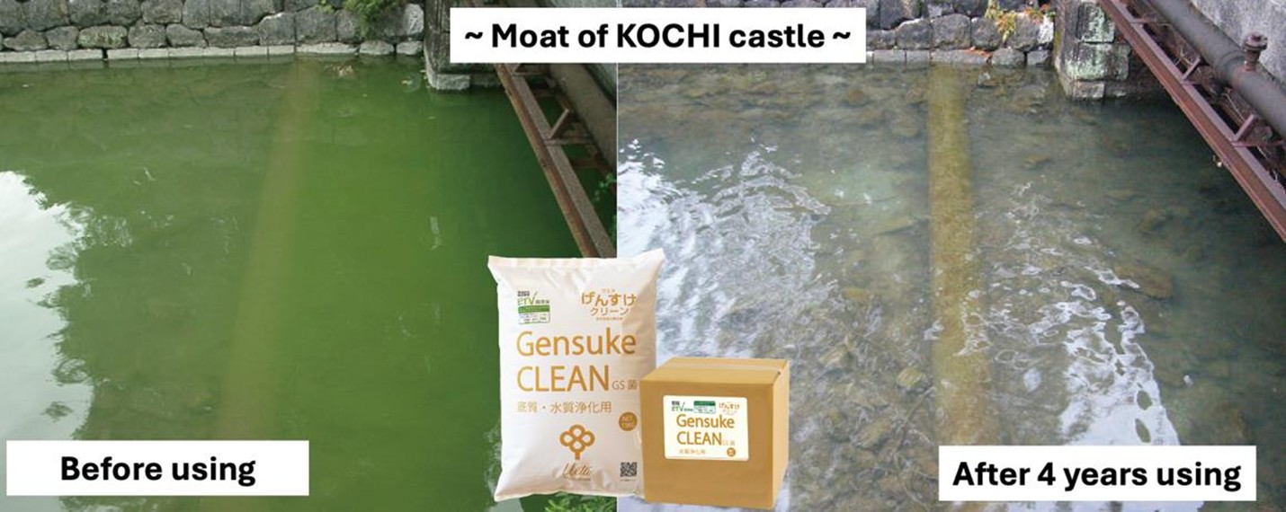 Chế phẩm Gensuke Clean làm trong nước tại hào nước quanh lâu đài Kochi