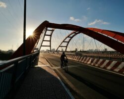 Vietnam Plastic resin market