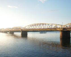 Vietnam business matching support