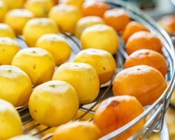 Water disinfection machines for food processing in Vietnam Water disinfection machines for food processing in Vietnam