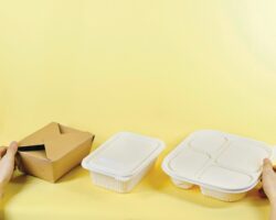 Food delivery market in Vietnam Food delivery market in Vietnam