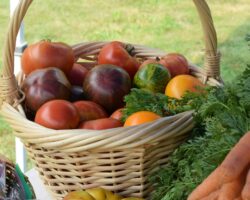 Premium fruit and vegetable demand in Vietnam Premium fruit and vegetable demand in Vietnam