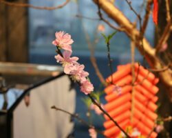 Vietnam Consumer behaviors in Tet Vietnam Consumer behaviors in Tet