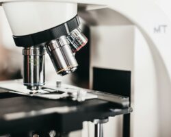 Mobile Lab sector in Vietnam Mobile Lab sector in Vietnam