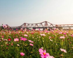 ryan-le-RTMS3rT3_9E-unsplash ryan-le-RTMS3rT3_9E-unsplash