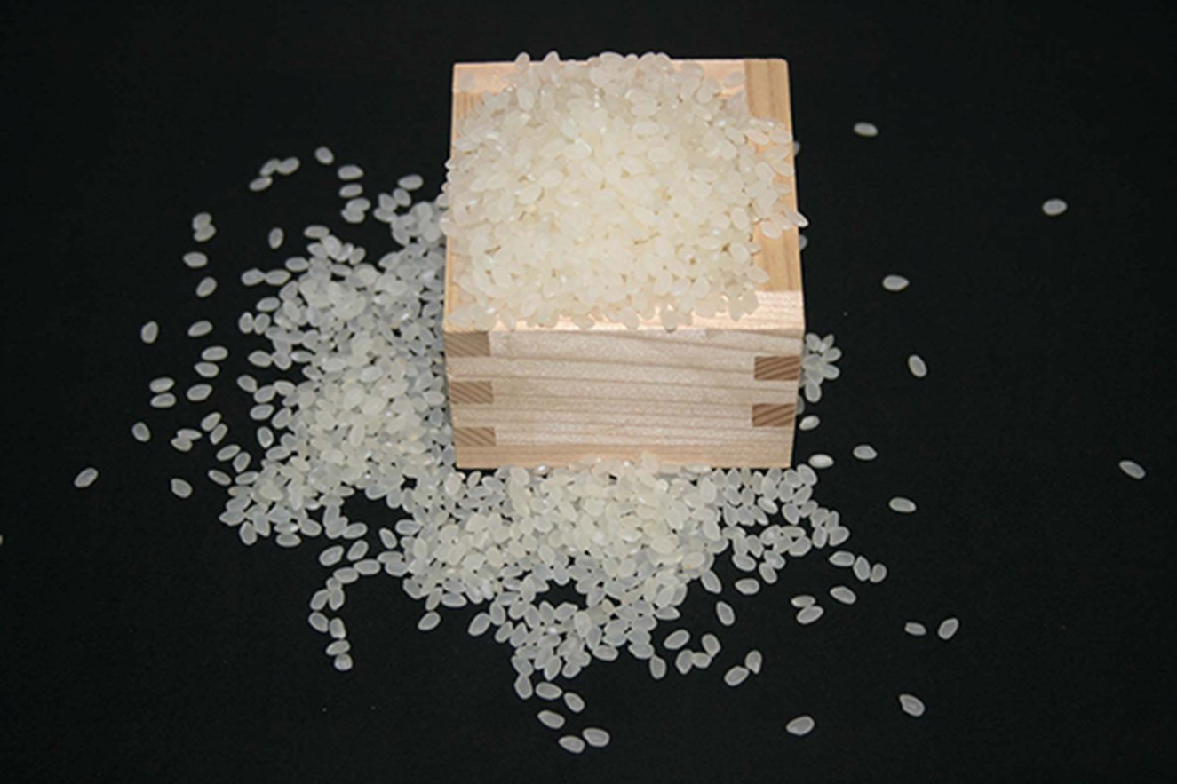 Koshihikari rice - Japan's iconic premium rice variety