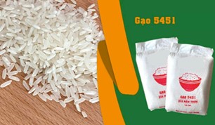 OM5451 rice - one of the most widely grown rice varieties in Vietnam