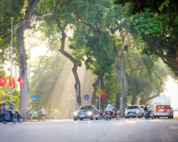 SEA and Vietnam green shift SEA and Vietnam green shift