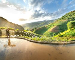 Vietnam Agriculture 2025 Vietnam Agriculture 2025