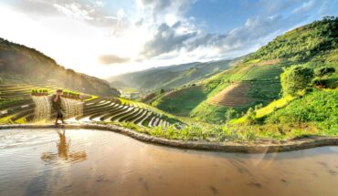 Vietnam Agriculture 2025