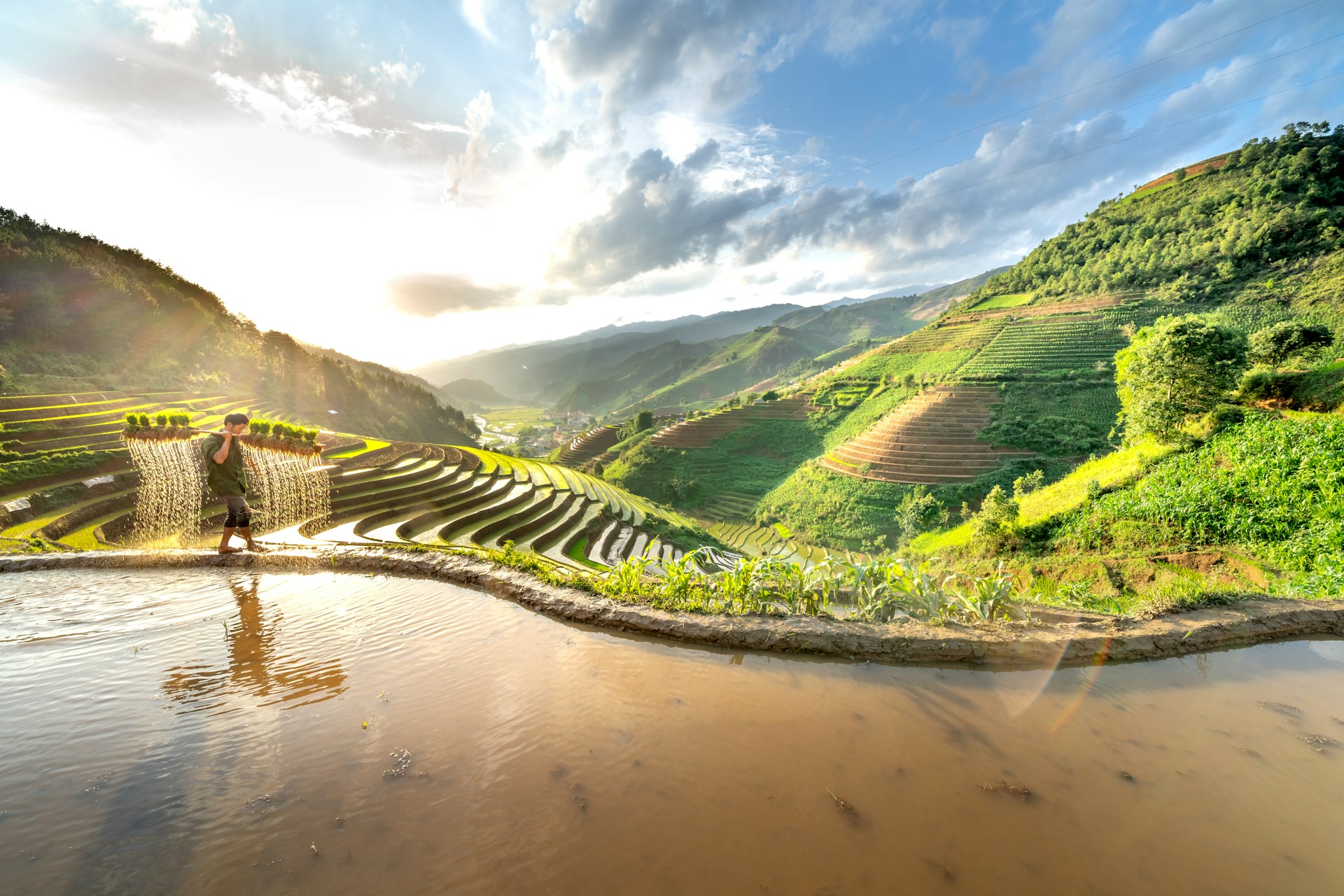 Vietnam Agriculture 2025