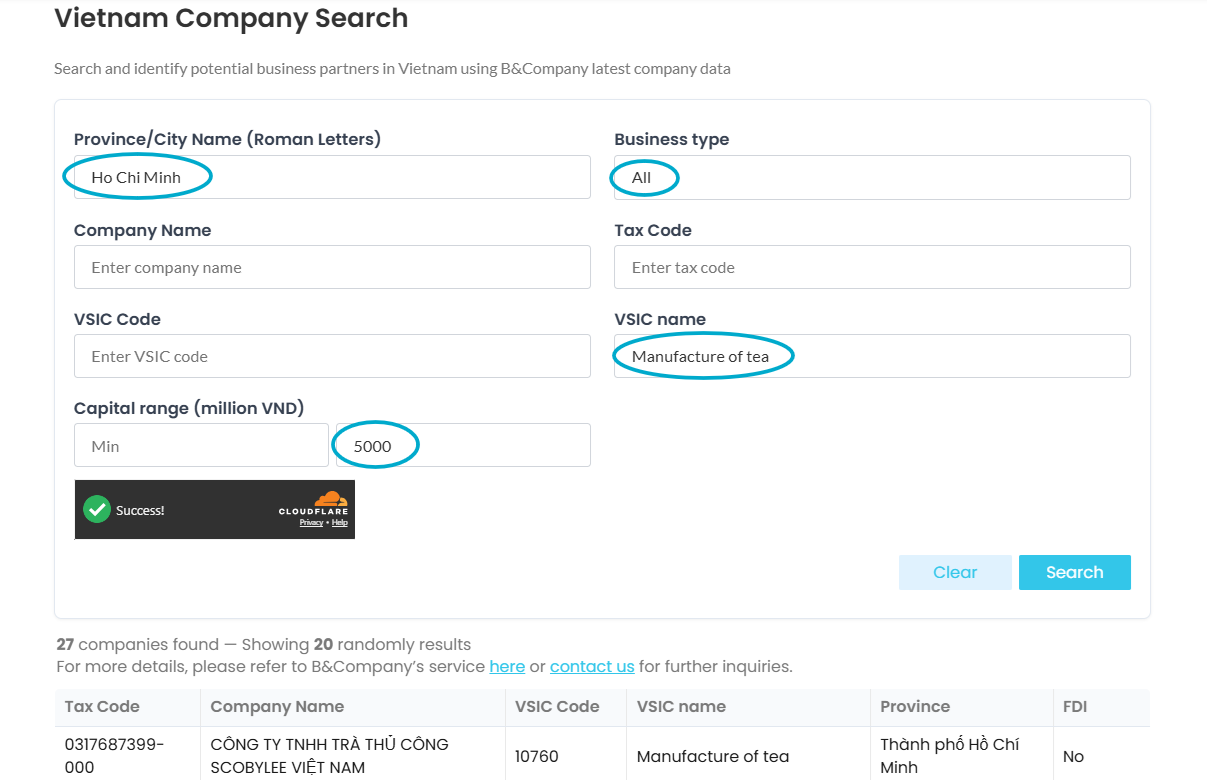 B&Company Vietnam Company search