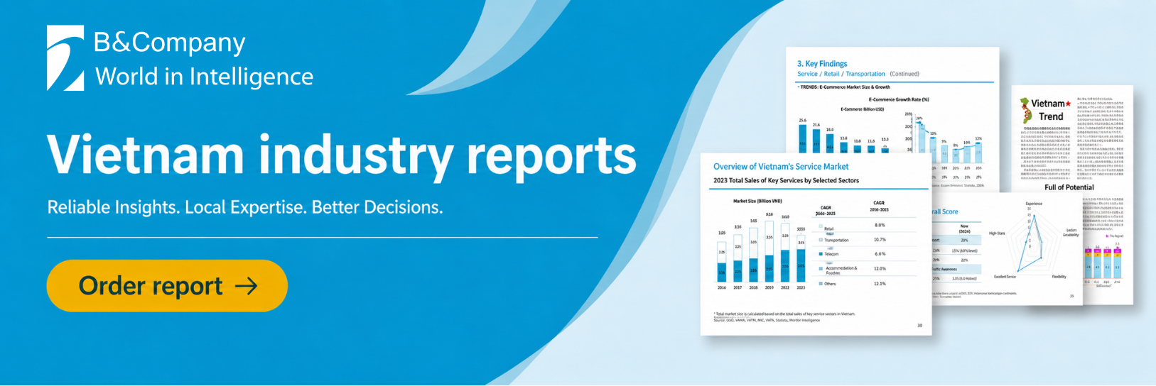 B&Company-Vietnam industry reports