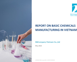 Report on basic chemicals manufacturing-Vietnam Report on basic chemicals manufacturing-Vietnam