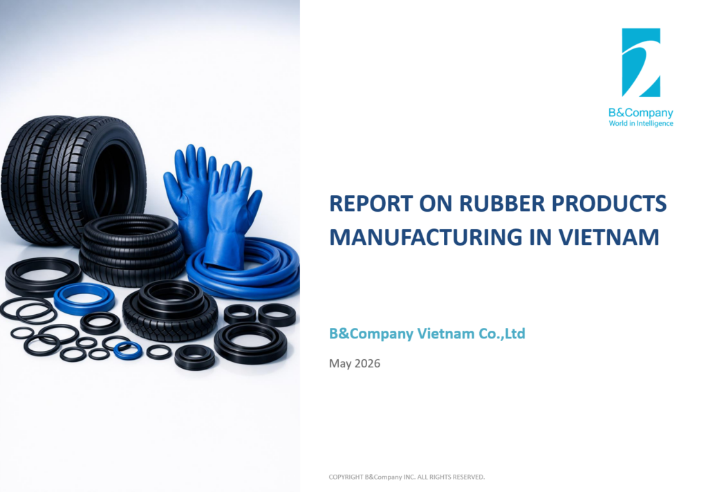 Report on rubber products manufacturing in Vietnam