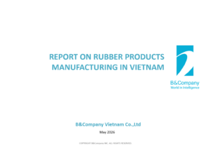 Report on rubber products manufacturing in Vietnam