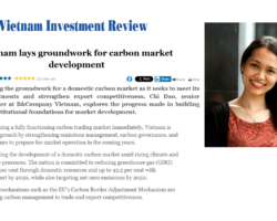 B&Company on VIR-Carbon market B&Company on VIR-Carbon market