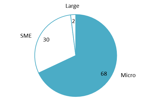 Number of local Vietnamese enterprises by company size (%)