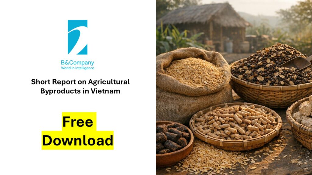 Short Report on Agricultural Byproducts in Vietnam