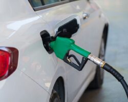 Vietnam biofuel update Vietnam biofuel update