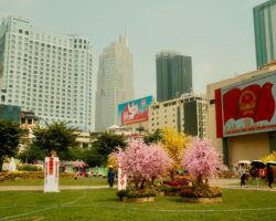Vietnam-Japan developing human resources Vietnam-Japan developing human resources