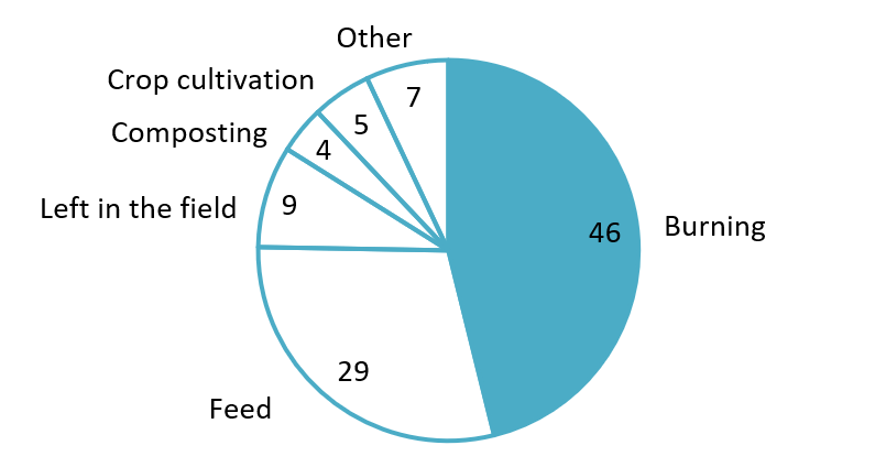 Use of Rice Straw (2022)